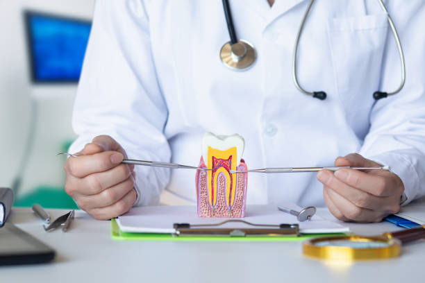 Best Knocked-Out Tooth Emergency  in Roundup, MT